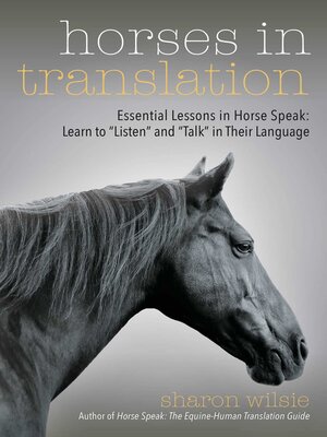cover image of Horses in Translation